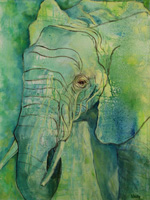 Wally Kaplan - The Last African Elephant